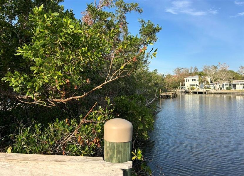 Natural landscape and outdoor views near  in Sarasota (Image 8).