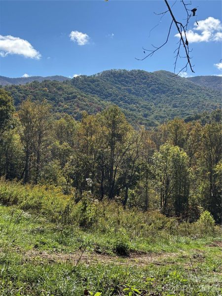 Natural landscape and outdoor views near  in Weaverville (Image 24).