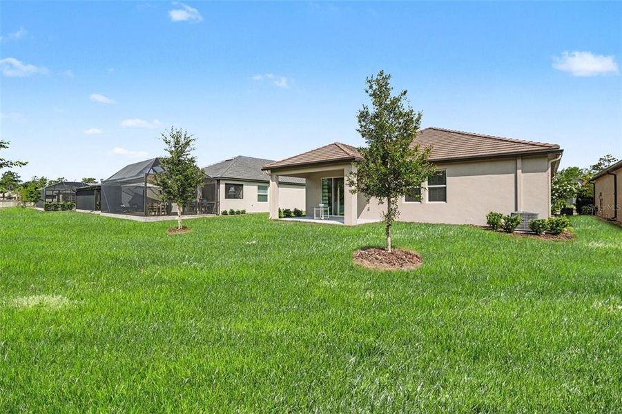 Exterior details and patio area of a home in Angeline Active Adult, Land O' Lakes (Image 23).