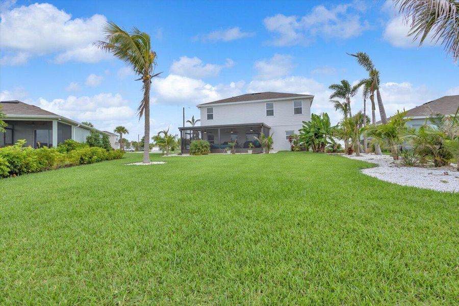 Backyard Backyard