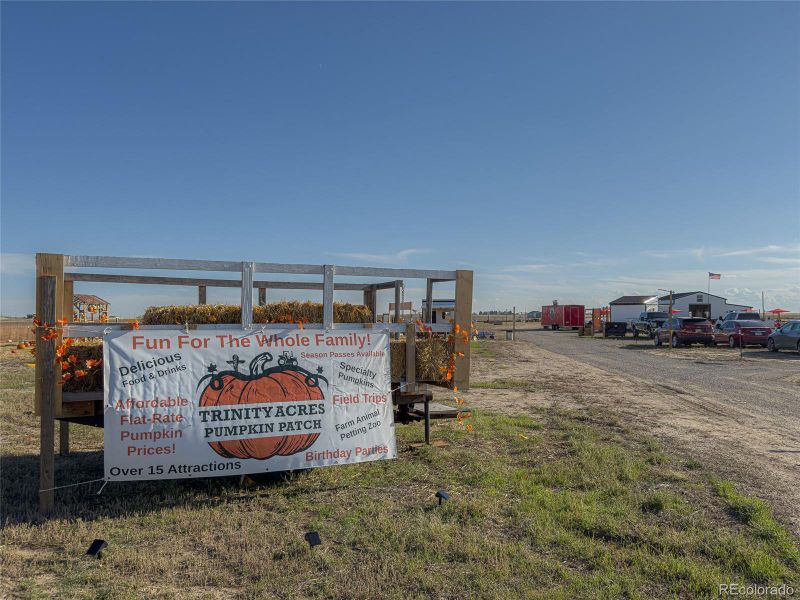 Close by pumpkin patch Close by pumpkin patch