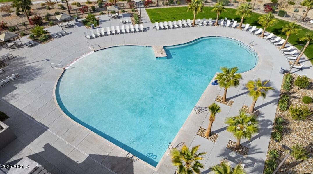 Community Photo Community Photo