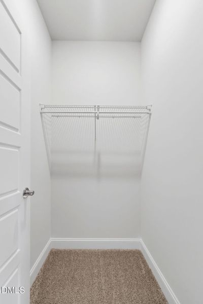 43-web-or-mls-DSC06344