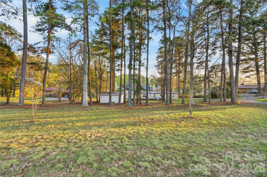 Natural landscape and outdoor views near  in Mooresville (Image 14).