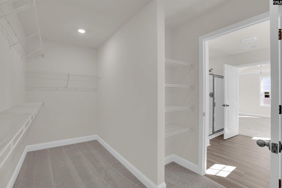 Spacious, unfurnished interior of a new home in Boykin Hills, Chapin (Image 23).