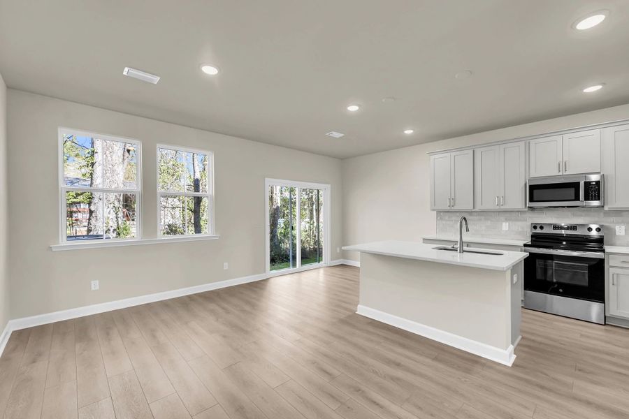 Kitchen, Dining, and Family Room