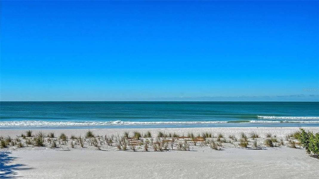 Natural landscape and outdoor views near  in Longboat Key (Image 47).
