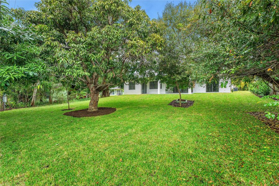 Natural landscape and outdoor views near  in Stuart (Image 38).
