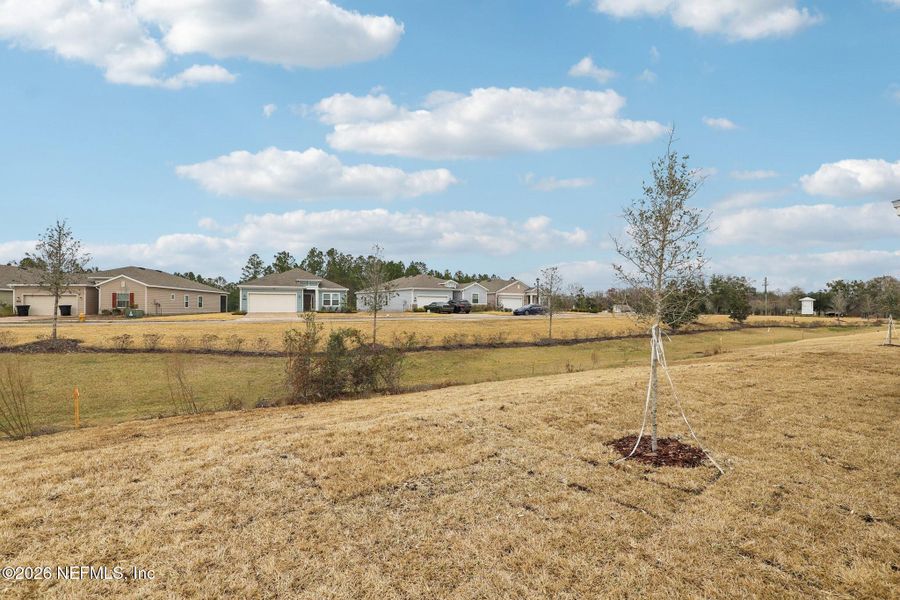 Natural landscape and outdoor views near  in Jacksonville (Image 37).