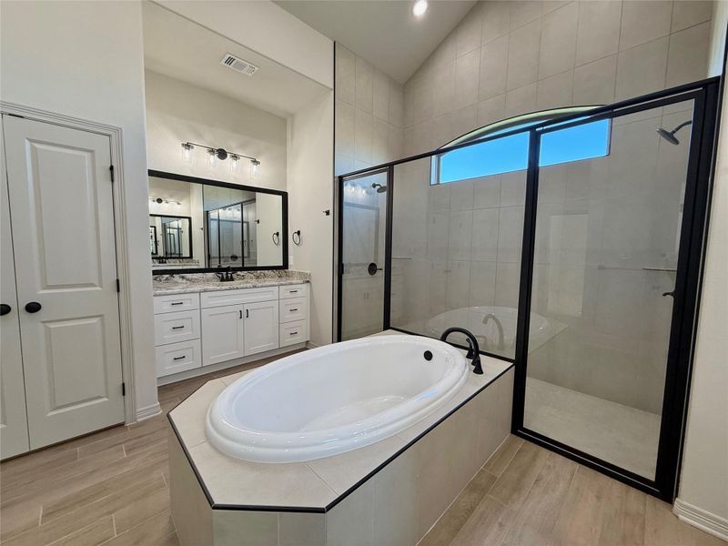 Bathroom featuring a shower stall, a garden tub, vanity, and wood tiled floors