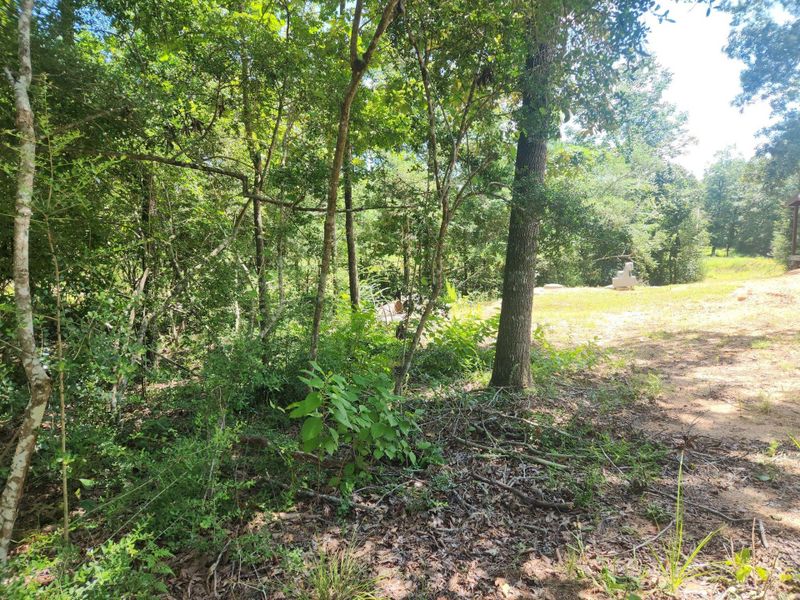 Natural landscape and outdoor views near in Coldspring (Image 36). Natural landscape and outdoor views near in Coldspring (Image 36).