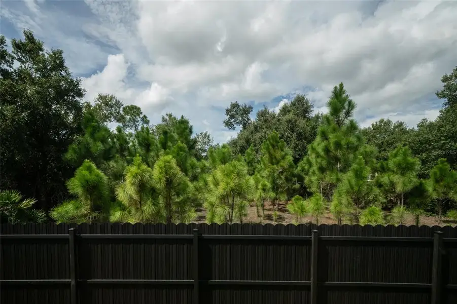 Natural landscape and outdoor views near in North Port (Image 52). Natural landscape and outdoor views near in North Port (Image 52).