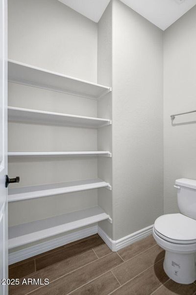 hj-az-phoenix-mystic-discovery-lily-lot-