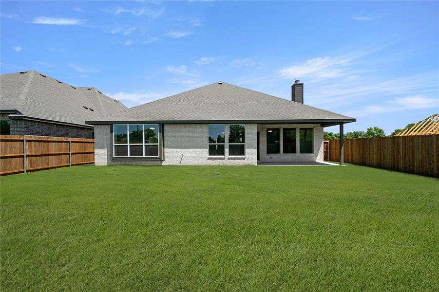 709 Seahawk- Back-3 709 Seahawk- Back-3