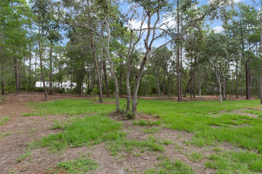 Natural landscape and outdoor views near in Beverly Hills (Image 57). Natural landscape and outdoor views near in Beverly Hills (Image 57).