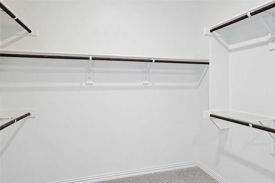 Spacious closet featuring carpet