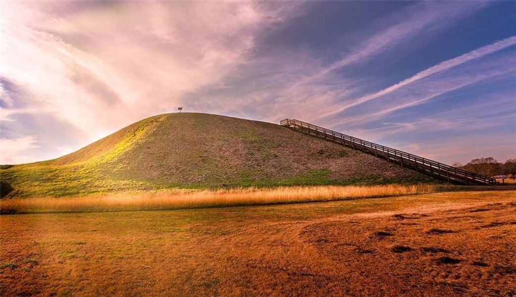Natural landscape and outdoor views near Fairington in Cartersville (Image 9).