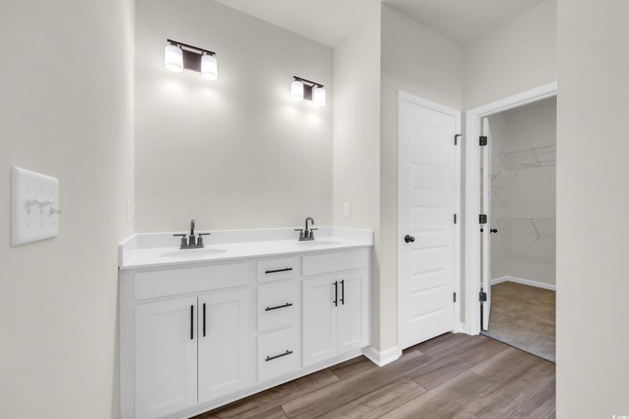 Bathroom with double vanity, light wood-style flooring, and a walk in closet