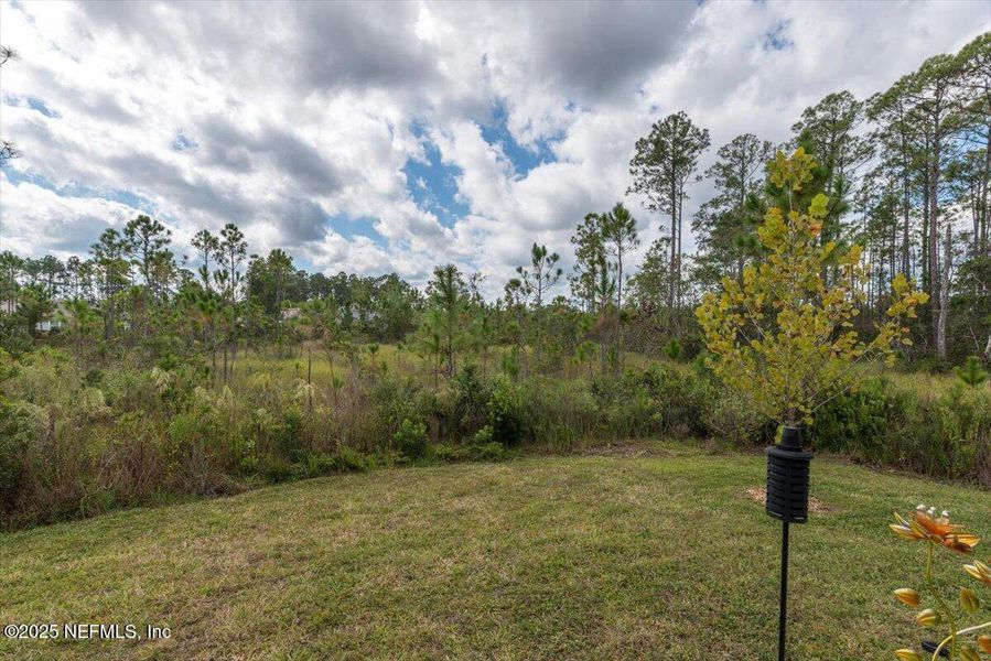 Natural landscape and outdoor views near River Glen Express in Yulee (Image 31).
