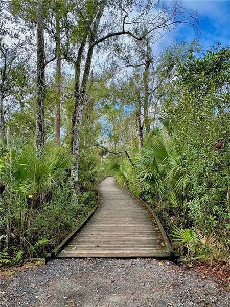 Natural landscape and outdoor views near in Land O' Lakes (Image 48). Natural landscape and outdoor views near in Land O' Lakes (Image 48).