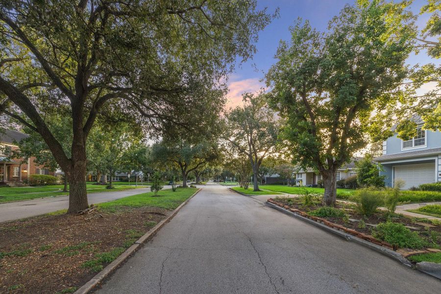 An esplanade Boulevard with a canopy of trees offering shade and charm. An esplanade Boulevard with a canopy of trees offering shade and charm.