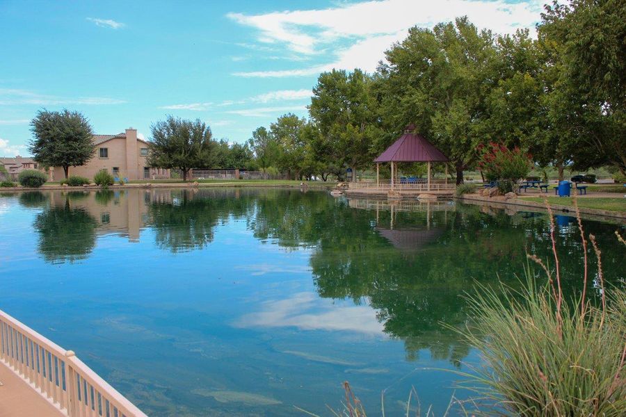 Image 43 of a home in Sahuarita Acres. Image 43 of a home in Sahuarita Acres.