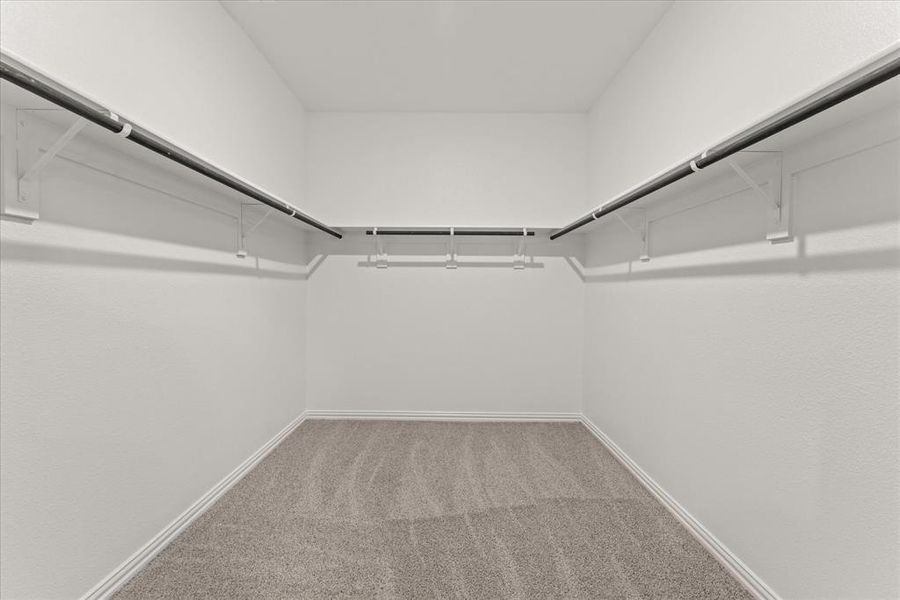 Spacious closet featuring carpet floors