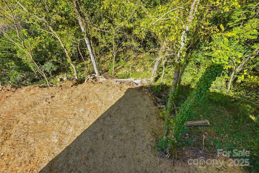 Back Deck overlooking private wooded back yard Back Deck overlooking private wooded back yard