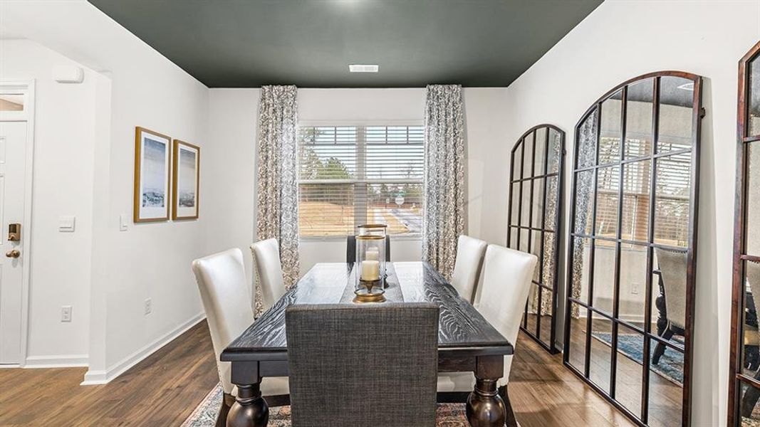 Furnished interior view inside a new home in Brooks Station, Dacula (Image 12).