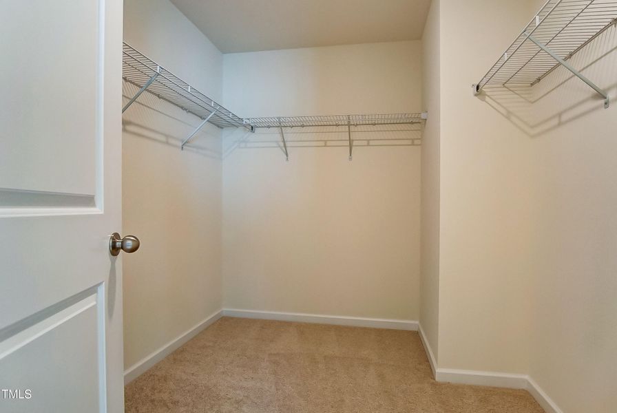 50002530-045_48440464331_o