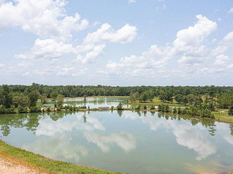 Natural landscape and outdoor views near Lakes at Crockett Martin in Conroe (Image 21).