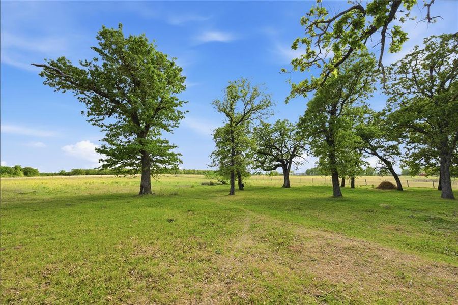 Natural landscape and outdoor views near  in Rosebud (Image 33).