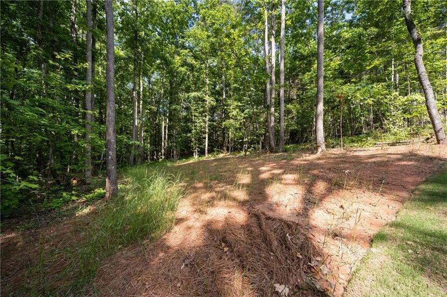 Natural landscape and outdoor views near in Dawsonville (Image 55). Natural landscape and outdoor views near in Dawsonville (Image 55).