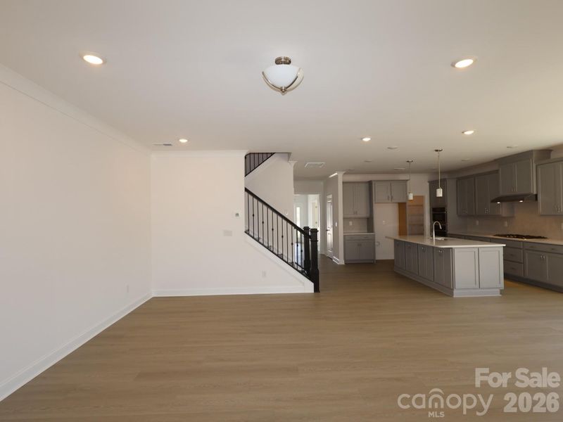 Kitchen and family room