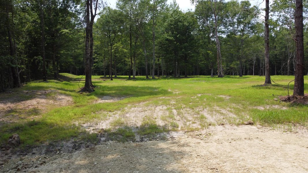 Natural landscape and outdoor views near  in Huger (Image 17).
