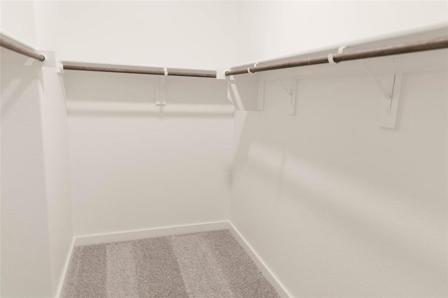 Spacious closet with carpet flooring