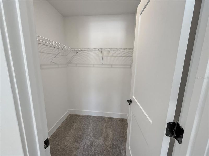 Spacious, unfurnished interior of a new home in Arbor Park, Leesburg (Image 12).