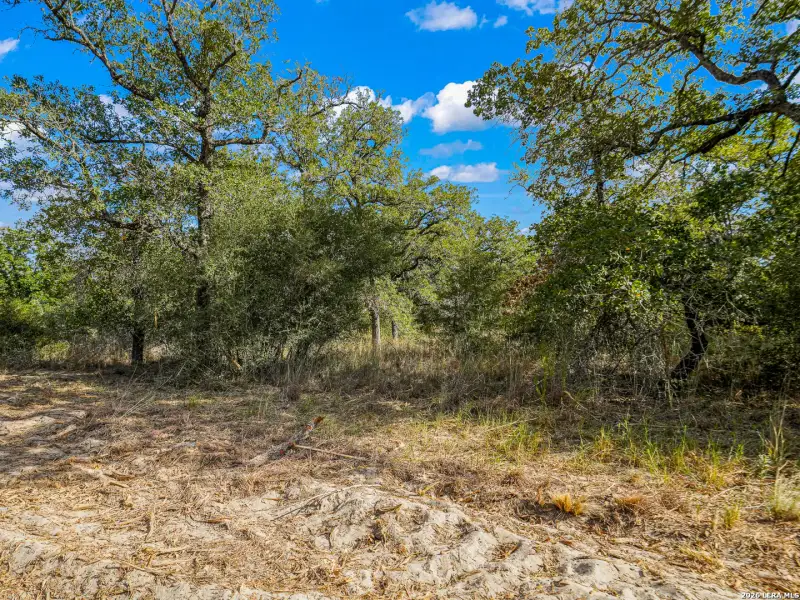 Natural landscape and outdoor views near  in Seguin (Image 31).