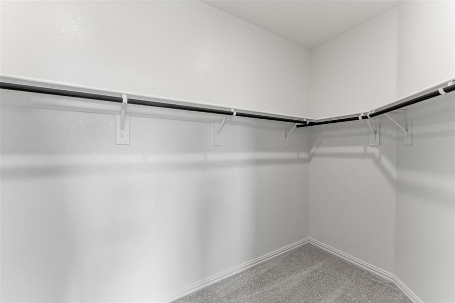 Walk in closet with light carpet