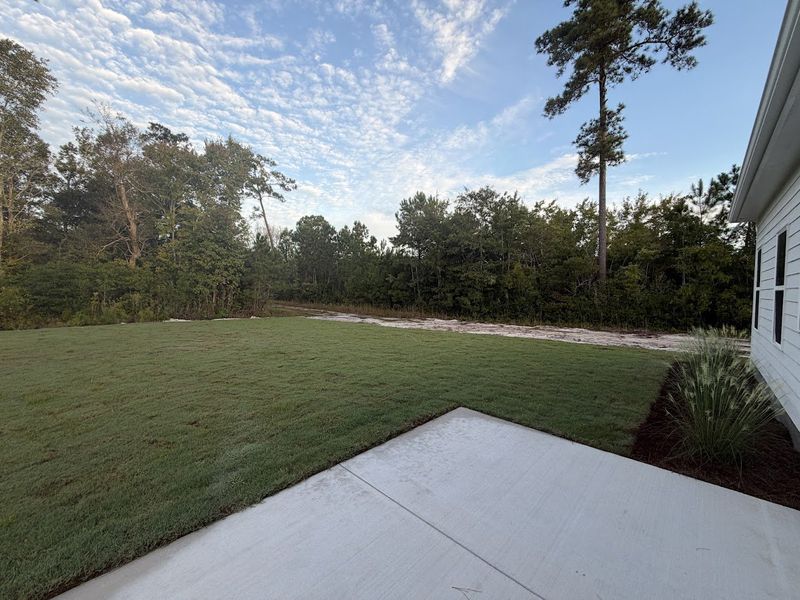 Image 38 of a home in Songbird. Image 38 of a home in Songbird.