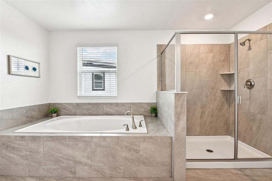 Furnished interior view inside a new home in , Davenport (Image 40).