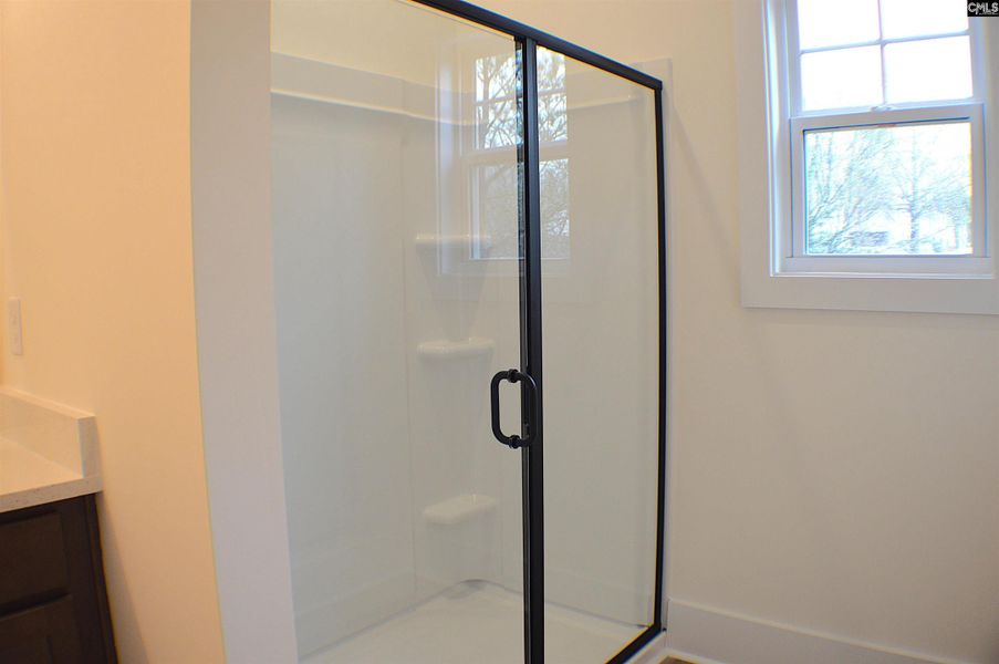 Close-up of interior finishes inside a home in Bickley Station, Irmo (Image 11).