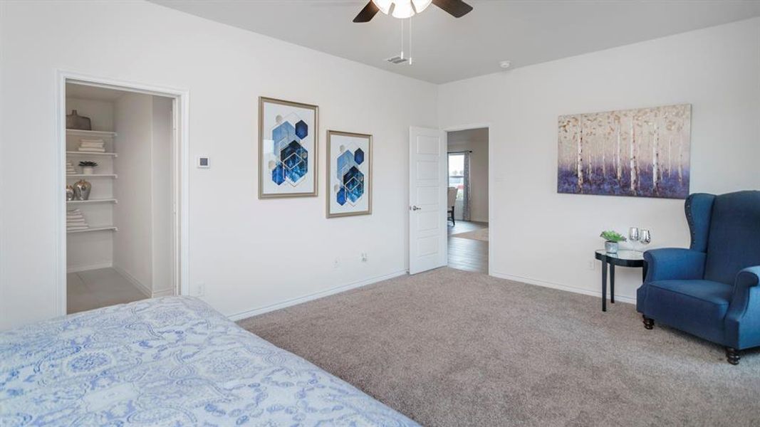 Spacious room with plush carpet flooring, a ceiling fan with integrated lighting, and a walk-in closet featuring built-in shelving