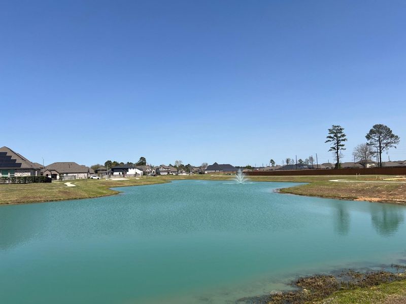 Natural landscape and outdoor views near Wood Leaf Reserve in Tomball (Image 14).