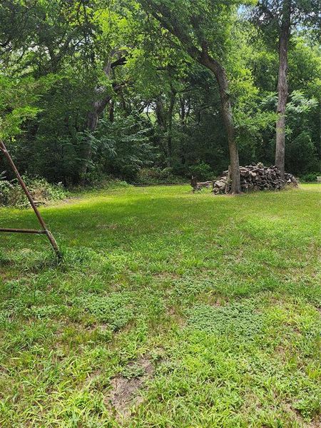 lots of room for entertaining, play area or possibly for your own private pool. lots of room for entertaining, play area or possibly for your own private pool.