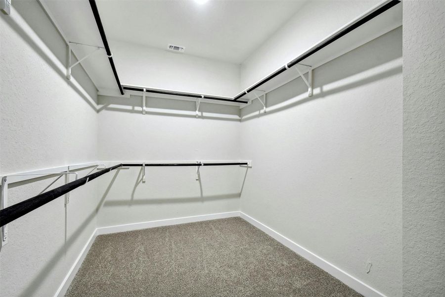 Spacious closet featuring carpet