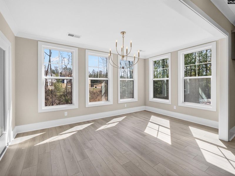 Spacious, unfurnished interior of a new home in Collins Cove, Chapin (Image 36).
