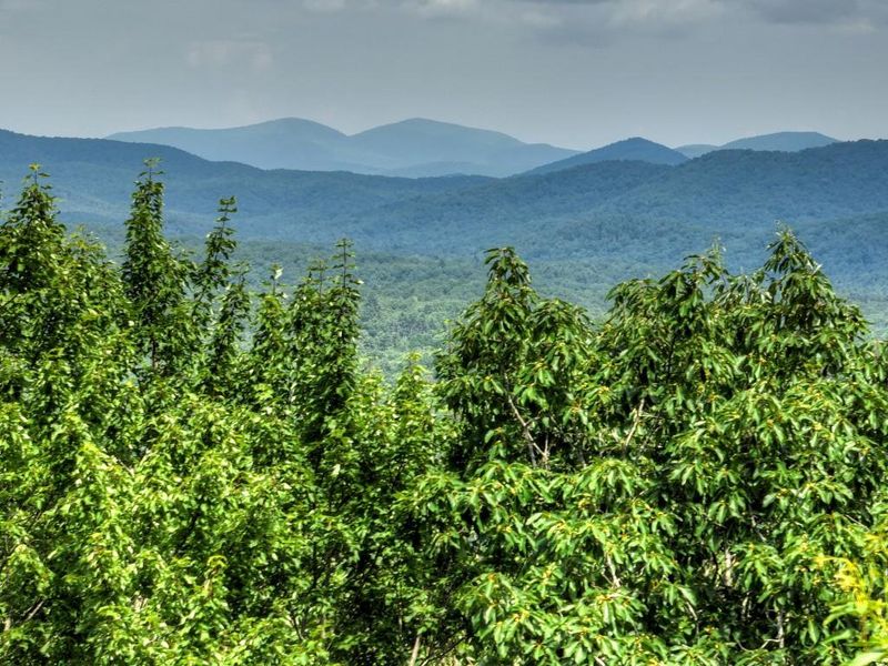 Natural landscape and outdoor views near  in Blue Ridge (Image 56).