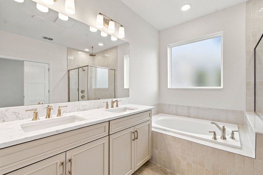 Owner's Bathroom