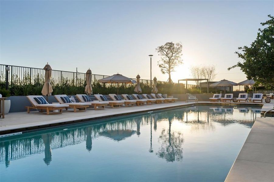 Community amenities in , Tampa (Image 84). Community amenities in , Tampa (Image 84).